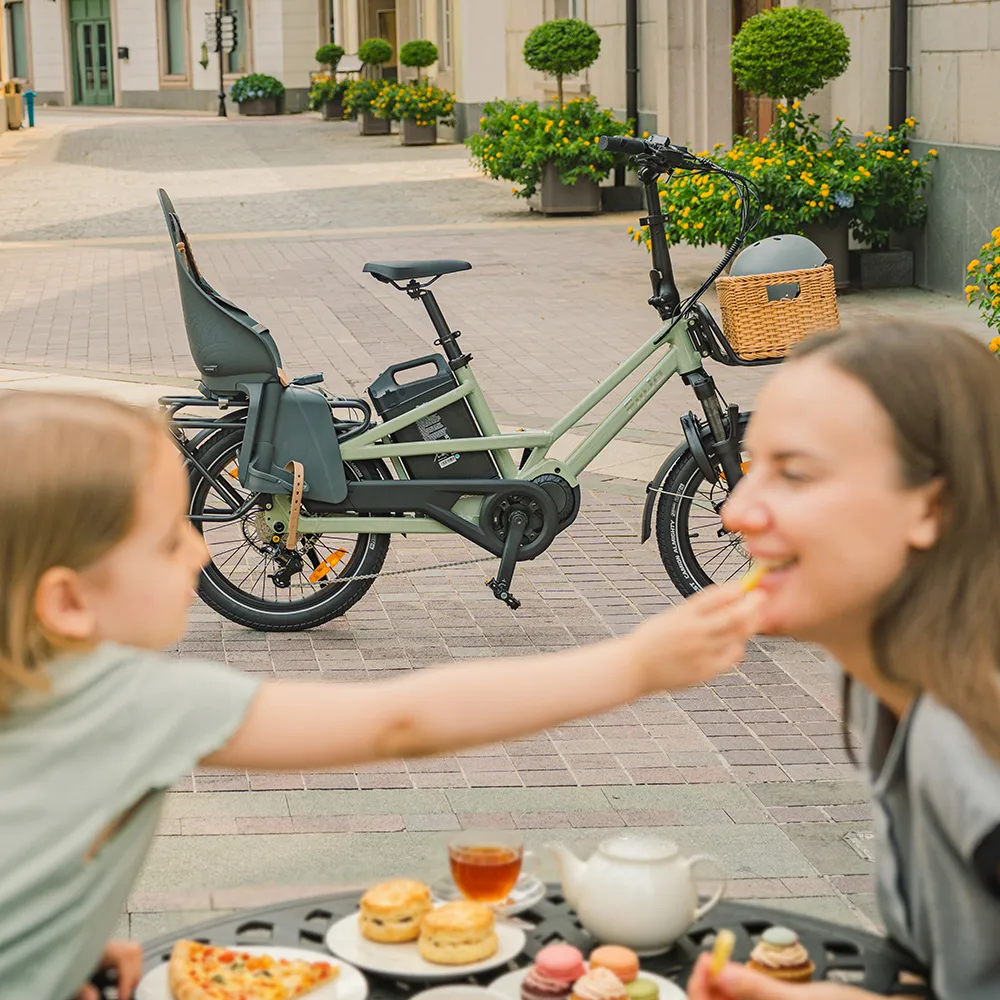 Fiido T3 Urban Family Cargo E-Bike - Image 4