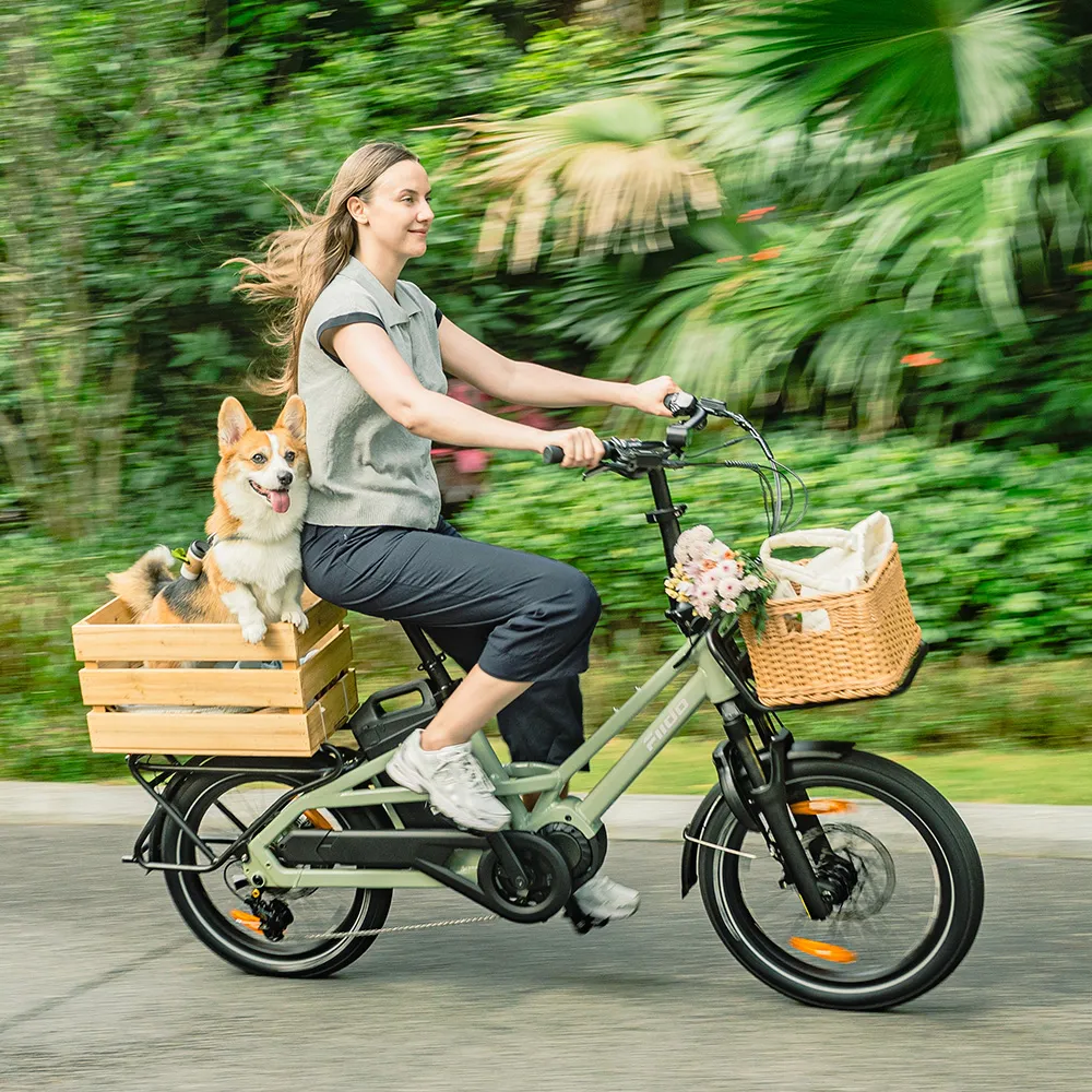 Fiido T3 Urban Family Cargo E-Bike - Image 7