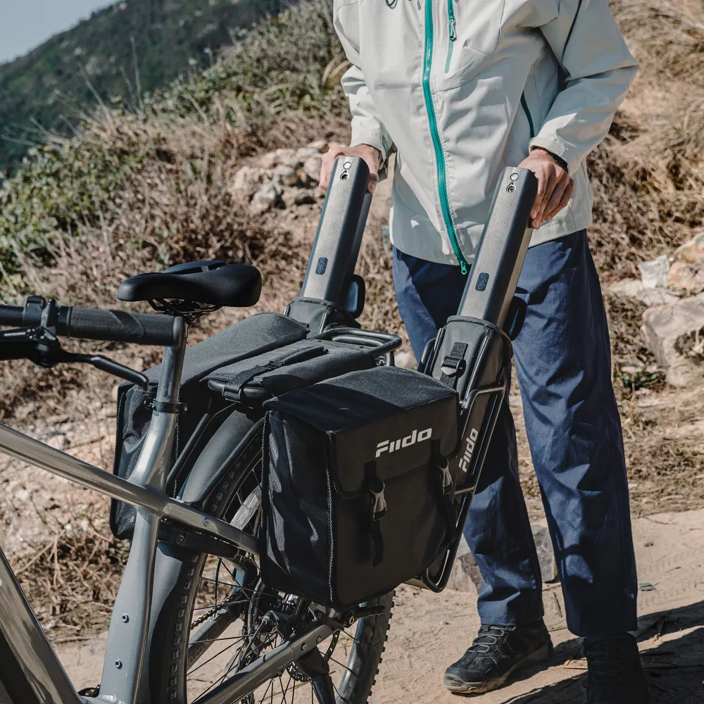 Fiido Nomads Pro Touring E-bike - Image 4