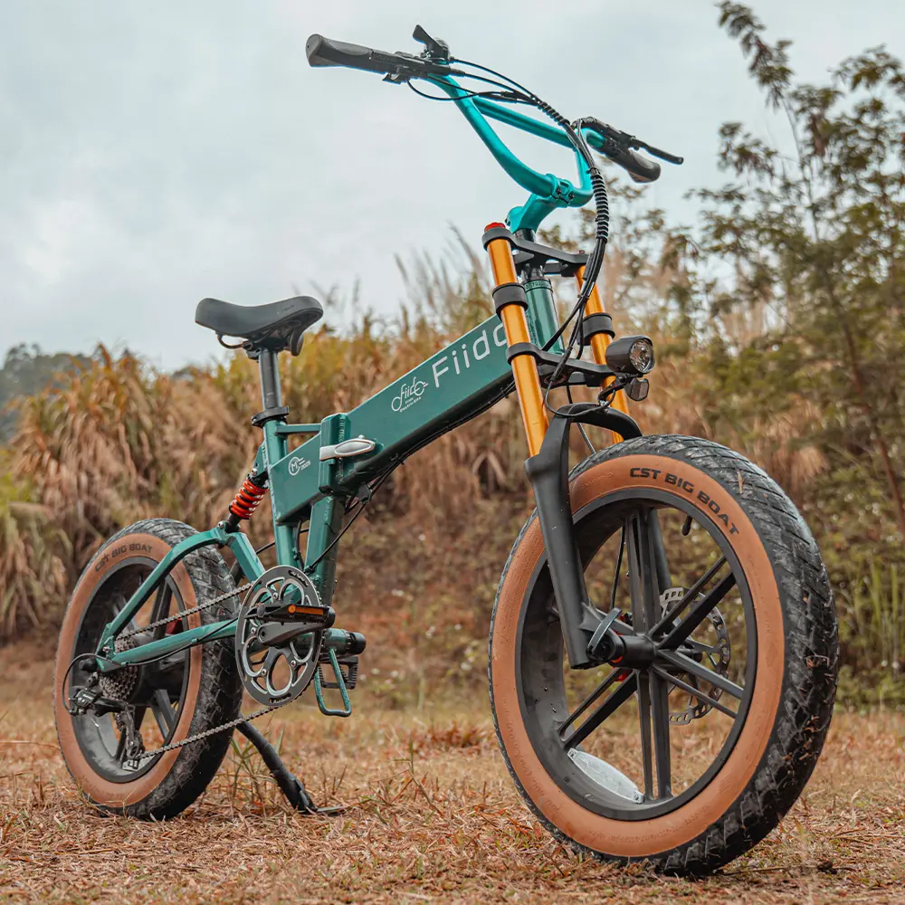 Fiido M1 Pro Fat Tire Electric Bike - Image 4