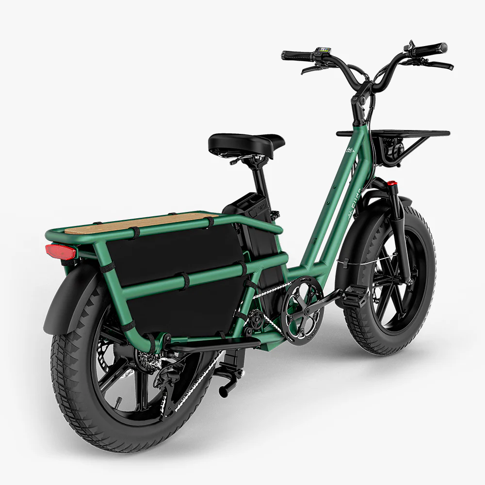 Fiido T2 Electric Cargo Bike: 200 kg Payload, 136.26 km Long Range - Image 13