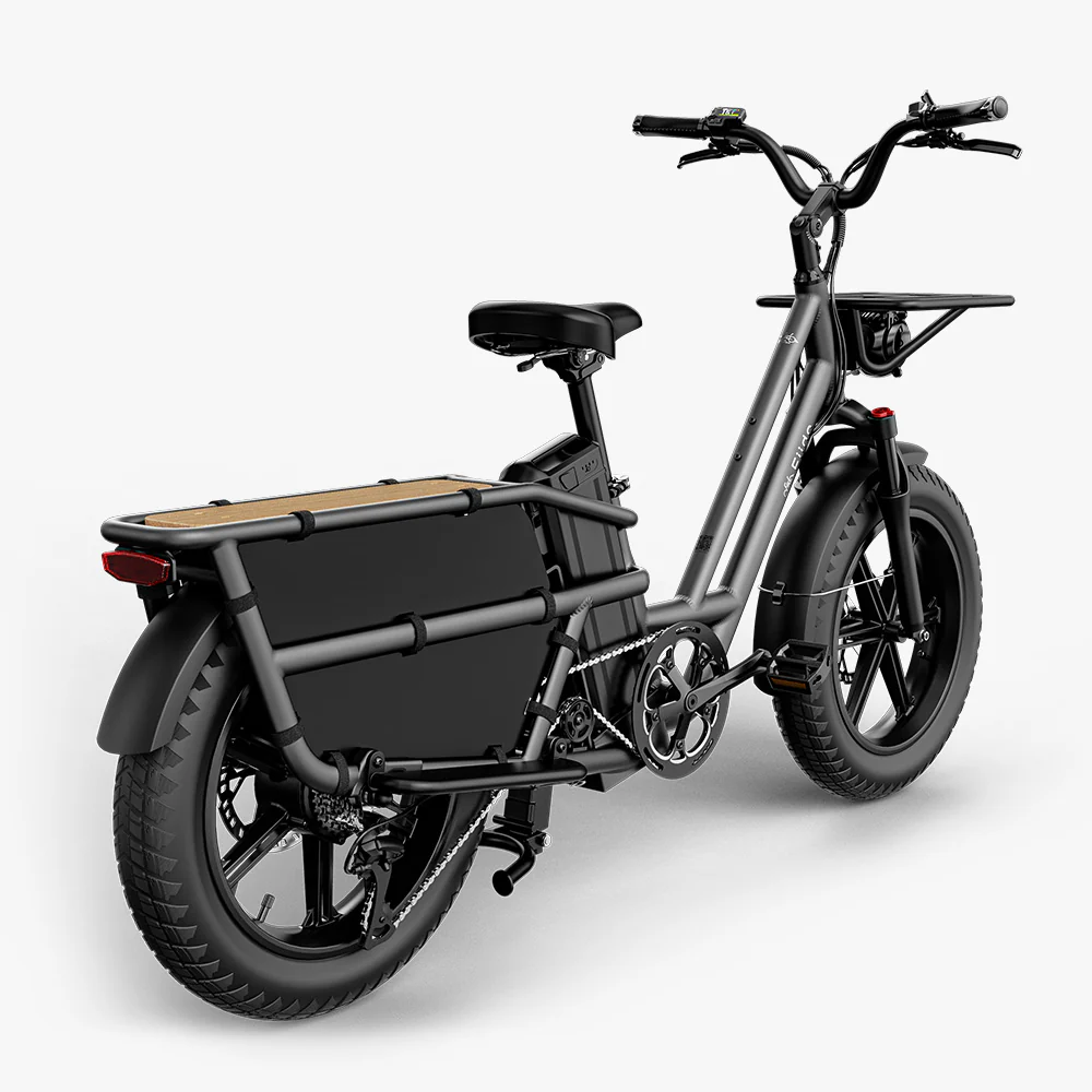 Fiido T2 Electric Cargo Bike: 200 kg Payload, 136.26 km Long Range - Image 14
