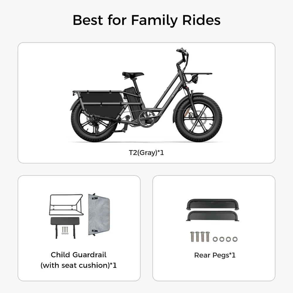 Fiido T2 Electric Cargo Bike: 200 kg Payload, 136.26 km Long Range - Image 17