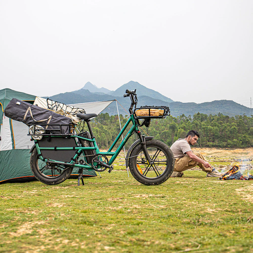 Fiido T2 Electric Cargo Bike: 200 kg Payload, 136.26 km Long Range - Image 5