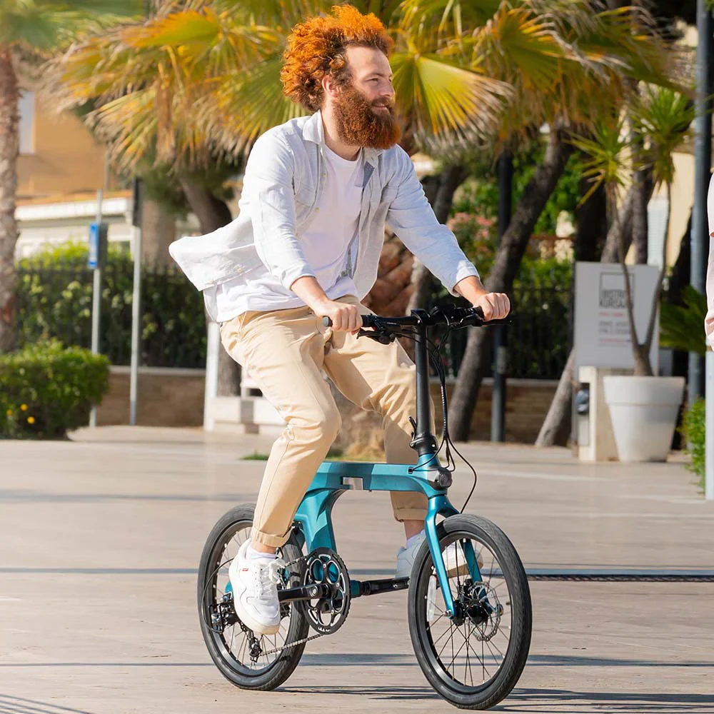 Fiido X Folding Electric Bike With Torque Sensor - Image 5